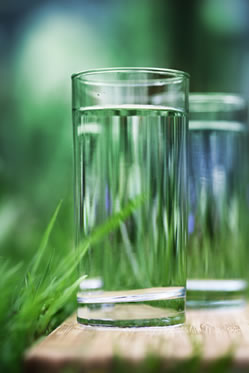 glass of water with greens
