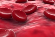 Healthy red blood cells