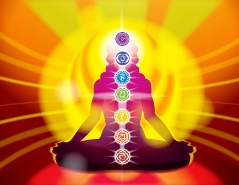 Chakra centers in the body